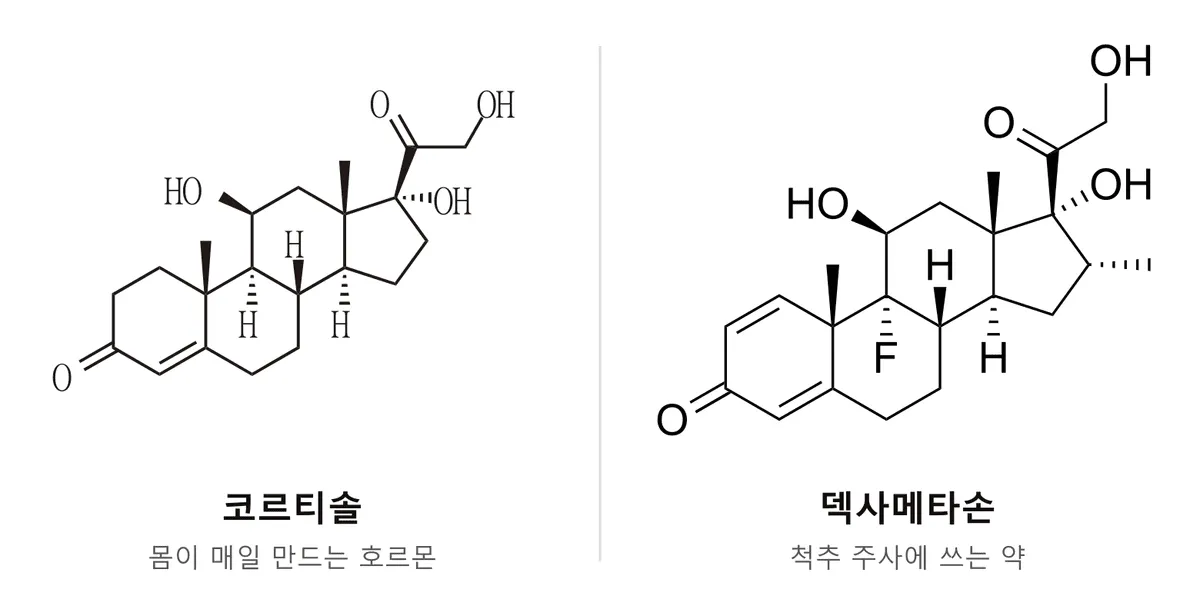 코르티솔과 덱사메타손의 분자 구조 비교. 덱사메타손은 코르티솔 뼈대에 불소(F)와 메틸기, 이중결합 하나가 더해진 형태다